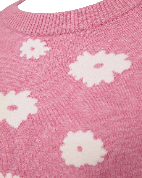 Bilde av FqAlpi-pullover