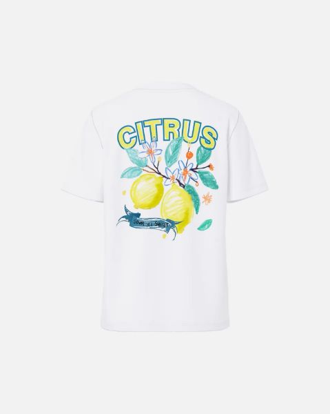 Bilde av PCBRIANNA SS PRINTED T-SHIRT